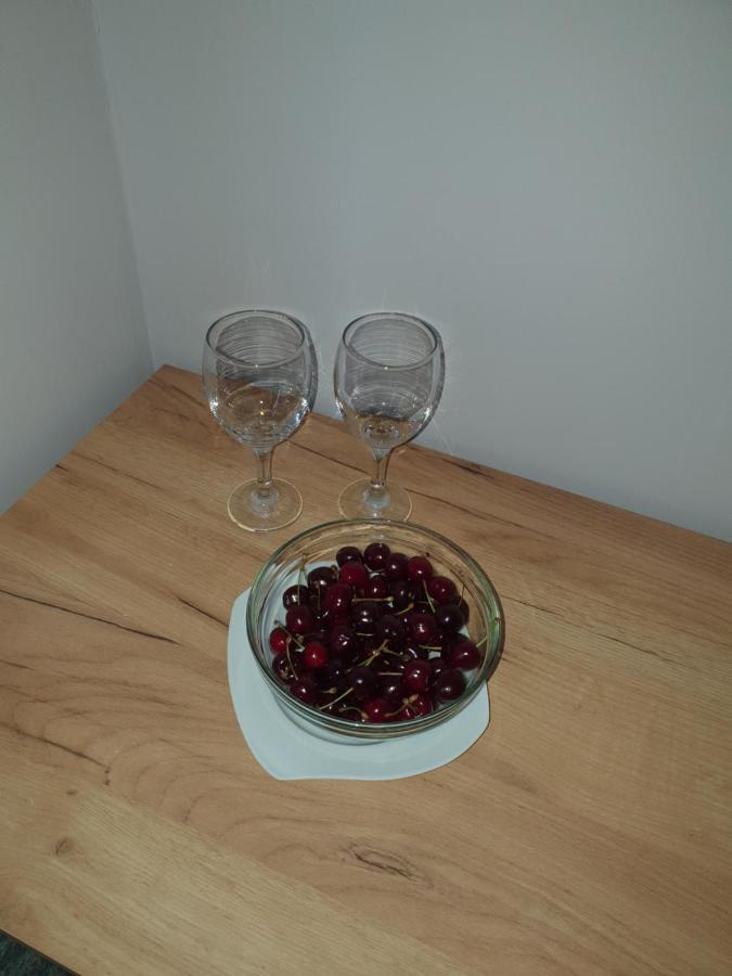 Sunny Apartment Blagoevgrad Kültér fotó
